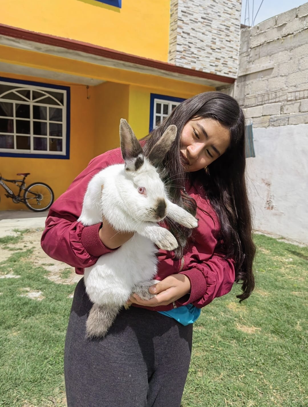 Abril con conejo